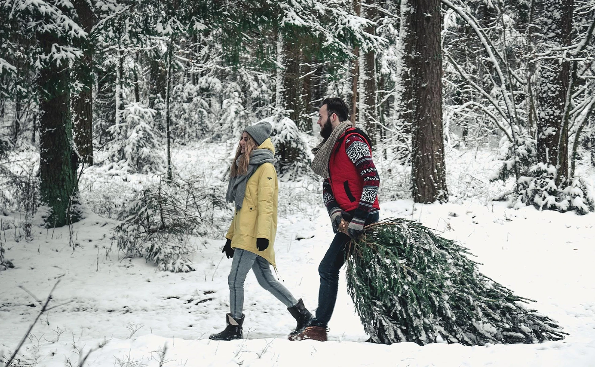 Atvaļinājums pāriet no decembra uz janvāri. Nodokļi un pārskati