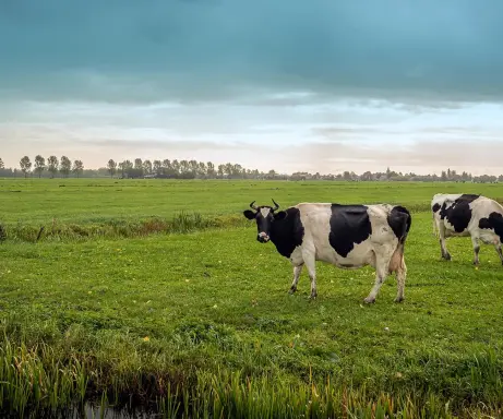 Zemes nomas maksa un nodokļi