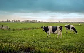 Zemes nomas maksa un nodokļi