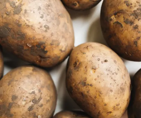 Lauksaimniecības produktu importa no agresorvalstīm aizliegumu pagarinās līdz 2027. gada 1. jūlijam