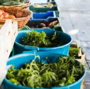 Pašu ražotās lauksaimniecības produkcijas tirgotājiem atvieglos iesaisti ielu tirdzniecībā