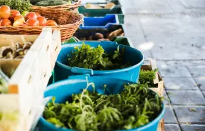 Pašu ražotās lauksaimniecības produkcijas tirgotājiem atvieglos iesaisti ielu tirdzniecībā