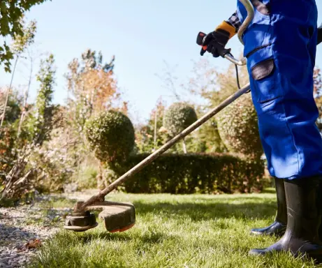 Satversmes tiesa lēmusi par zemesgrāmatā nostiprinātu nomas tiesību dzēšanas tiesiskumu pēc kooperatīvās sabiedrības vienkāršotās likvidācijas