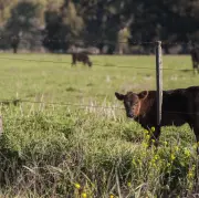 Lauksaimnieki no aprīļa vidus varēs pieteikties platību maksājumiem