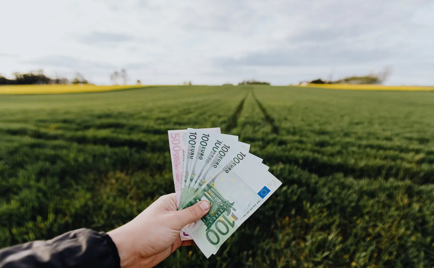 Valsts kompensēs zemes īpašniekiem zaudējumus piespiedu dalītā īpašuma gadījumos