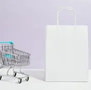 Kāpēc tiek apšaubīta publisko iepirkumu sistēmas reformas efektivitāte?