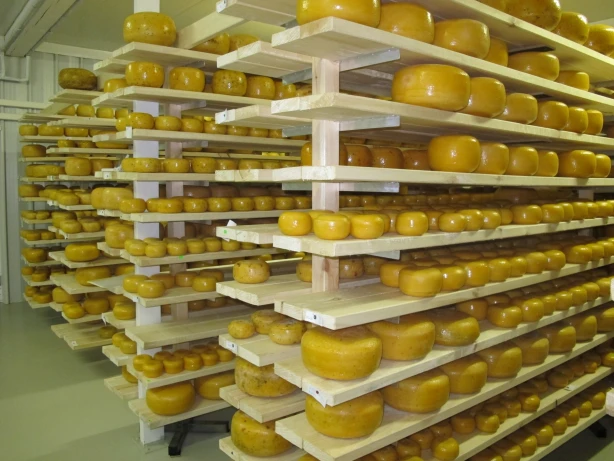 Turpmāk amatniecības un rūpniecības ražojumiem aizsargātas būs tikai reģistrētas ģeogrāfiskās izcelsmes norādes