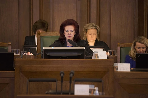 Saeima konceptuāli lems, vai atlikt elektroenerģijas tirgus atvēršanu mājsaimniecībām