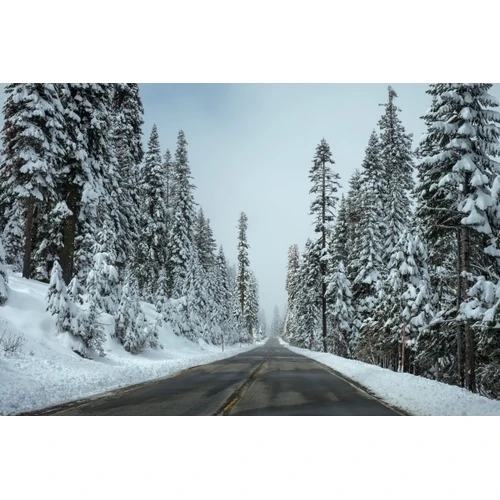 Pieauguši sodi par pārkāpumiem, kas saistīti ar autoceļu regulējuma jomu