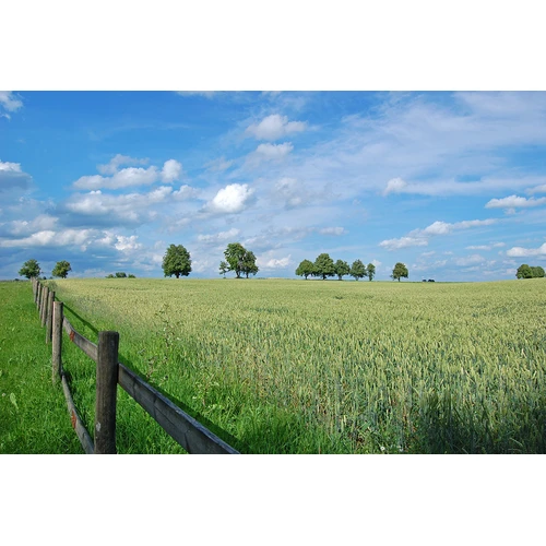 Priecīgus Līgo svētkus!