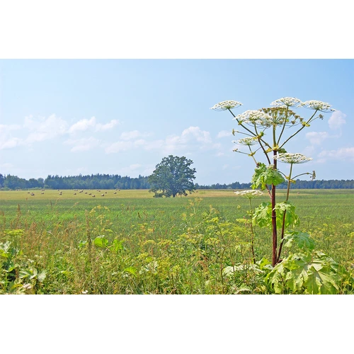 ES līdzfinansētiem lauku tūrisma projektiem būs pieejami valsts garantēti kredīti