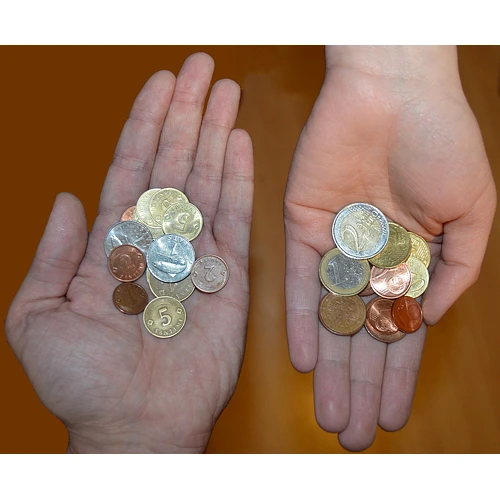 Saeima konceptuāli atbalsta eiro ieviešanu no 2014. gada 