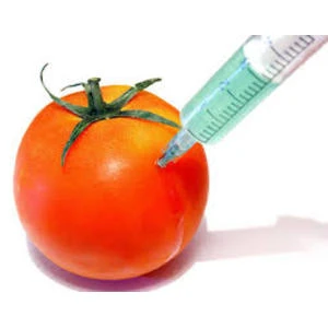 Veidos stingrāku ģenētiski modificēto organismu kontroles un uzraudzības sistēmu Latvijā