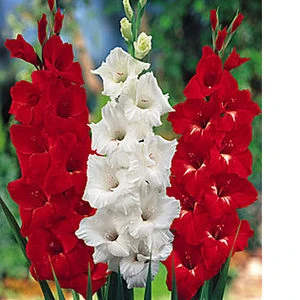 Lai sekmīgs 2013./2014. mācību gads! Sveicam visus zinību guvējus un devējus!