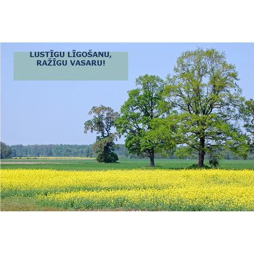 Priecīgus vasaras Saulgriežus, lustīgu līgošanu un ražīgu vasaru!