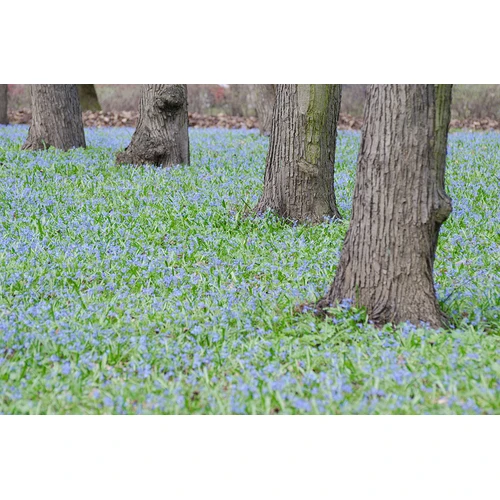 Sveicam portāla lasītājus LIELDIENĀS!