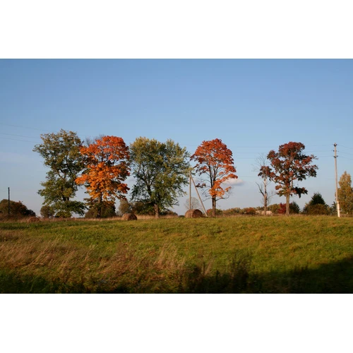 Aicinām ikvienu Latvijas balstiesīgo piedalīties 12. Saeimas vēlēšanās!