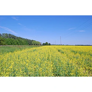 Ar vairāku likumu grozījumiem vienkāršos nekustamā īpašuma reģistrācijas procesu