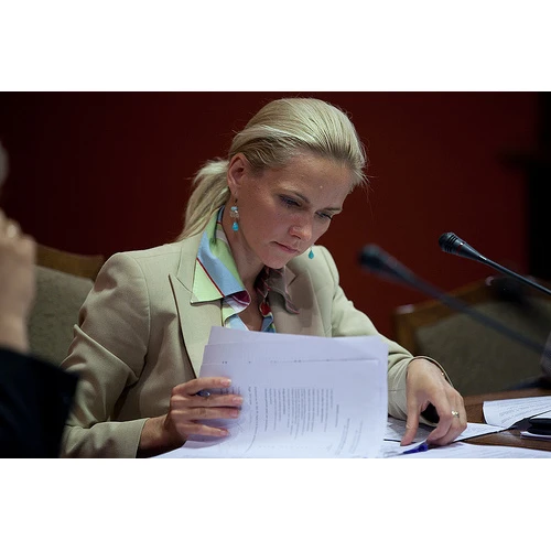 Deputāte E.Siliņa turpina uzturēt diskusiju par mikrouzņēmumu nodokli