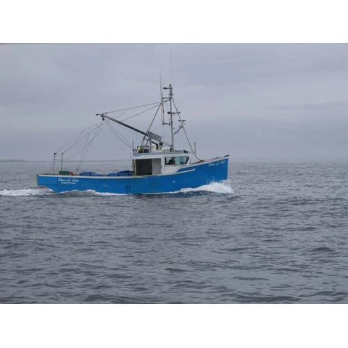 Plāno uzņēmumiem atvieglot zivju produktu marķēšanu