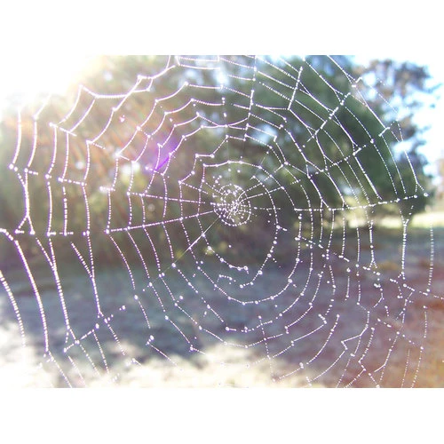 ES patieso labuma guvēju reģistrs līdzētu cīņā ar naudas atmazgāšanu