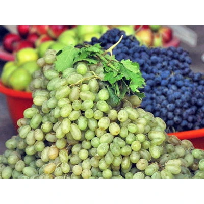 Jaunas sadarbības iespējas dārzeņu un augļu eksportā no Uzbekistānas