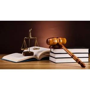 Nevēlas pieļaut divu plūsmu valsts amatpersonu ieviešanu maksātnespējas procesā