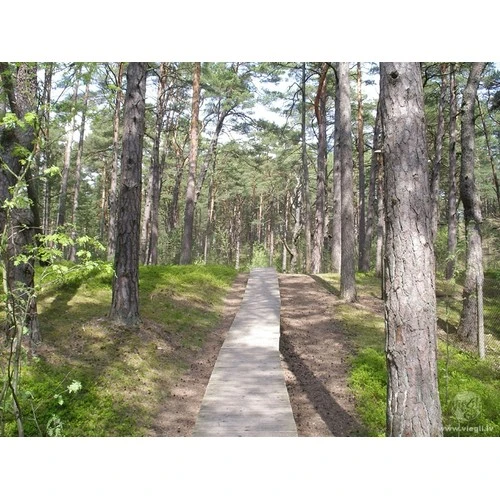 Aicina sabiedriskās organizācijas pievērst uzmanību Aizsargjoslu likuma grozījumiem 