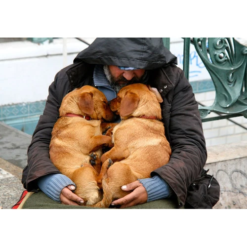 Saeimas komisijā vērtēs likumprojektu īrnieku tiesību aizsardzībai pret nelikumīgu izlikšanu no mājokļiem