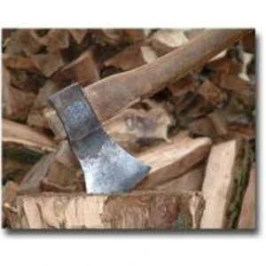 No 15.aprīļa būs ierobežota koku ciršana Rīgas pilsētas teritorijā