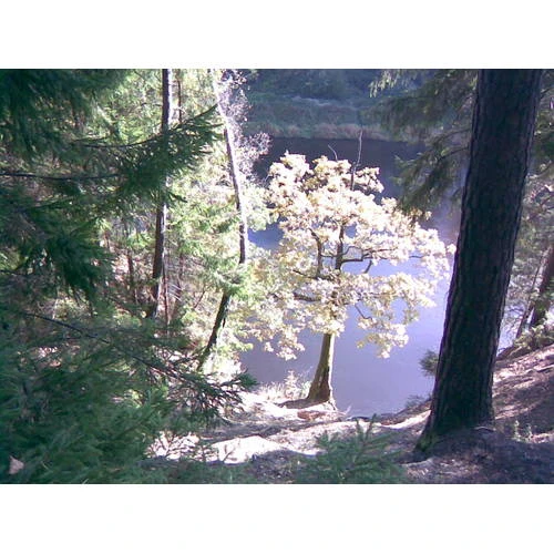 Kompensācijas saistībā ar saimnieciskās darbības ierobežojumiem aizsargājamās dabas teritorijās piešķirs no ES fondu naudas