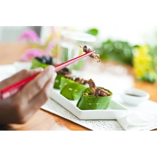 Likumā paredzēti atvieglojumi par ēdināšanas izdevumiem