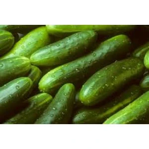 PVD sāk pastiprinātas svaigu dārzeņu pārbaudes