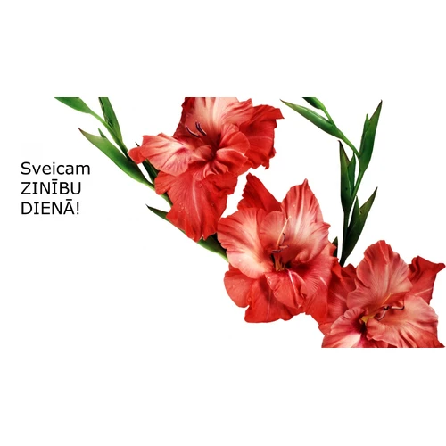 Sveicam Zinību dienā!