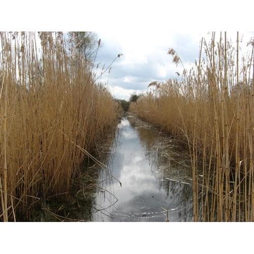 Plāno izmaiņas Aizsargjoslu likumā, lai pasargātu ūdeņus no piesārņojuma