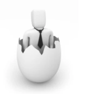 Plāno rudenī izsludināt iepirkumu reģionālo biznesa inkubācijas pakalpojumu sniedzējiem turpmākajam periodam