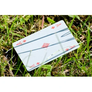 Precizēta grāmatvedības kārtība pokera azartspēlēm