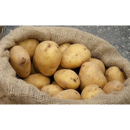 Akceptēti jauni kartupeļu sēklaudzēšanas un sēklas kartupeļu tirdzniecības noteikumi