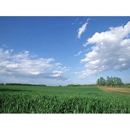 Sākot ar 2015.gadu mazie lauksaimnieki varēs saņemt atbalstu 500 eiro apmērā par saimniecību