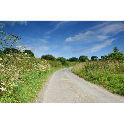 Ar lauksaimniecību nesaistītām saimnieciskajām aktivitātēm būs pieejami desmitiem miljoni eiro