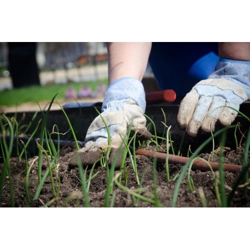 Bērnu un pusaudžu nodarbināšana vasarā – kas jāņem vērā?