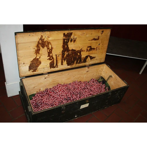 11. novembrī svinēsim Lāčplēša dienu, Rīgā rīkos lāpu gājienu, koncertus un Brīvības cīņu demonstrējumus