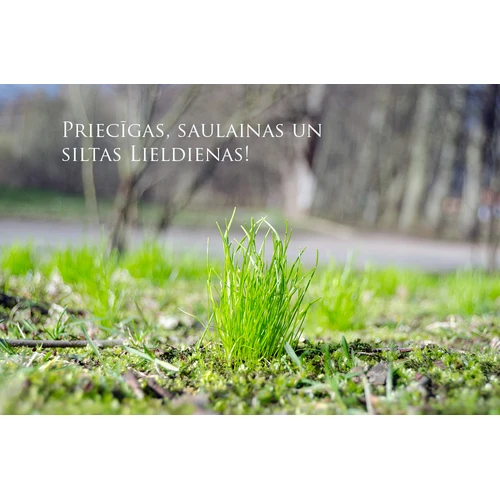 Sveiciens pavasara svētkos!