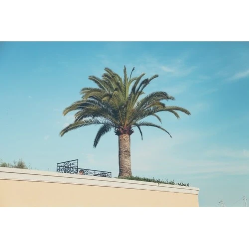 Pārskata ES nesadarbojošos valstu sarakstu nodokļu vajadzībām