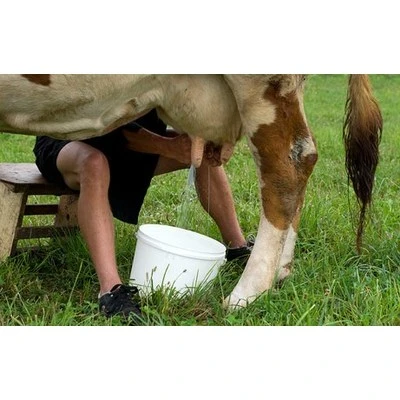 Izmaiņas par valsts sociālo apdrošināšanu būtiski ietekmēs lauksaimniecībā nodarbinātos