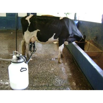 Paziņojumi par cenu izmaiņām mākslīgi palielina preču uzcenojumus