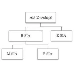 Uzņēmumu ienākuma nodoklis nerezidentam, gūstot ienākumu no kapitāla daļām