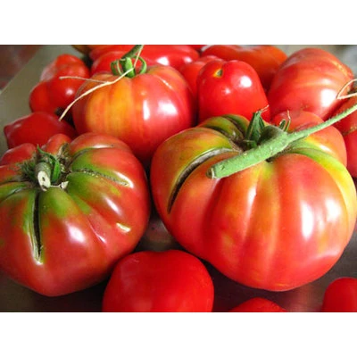 Konkurences padome veic ikdienas mazumtirdzniecības preču uzraudzību