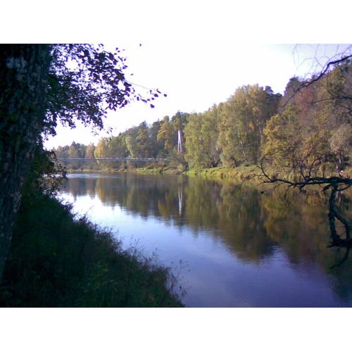 Arī privātajās upēs varēs pavairot zivju resursus ar valsts atbalstu