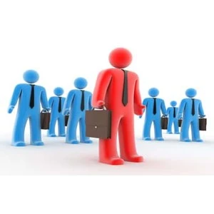 Atkārtoti meklē pretendentus uz Maksātnespējas administrācijas direktora amatu